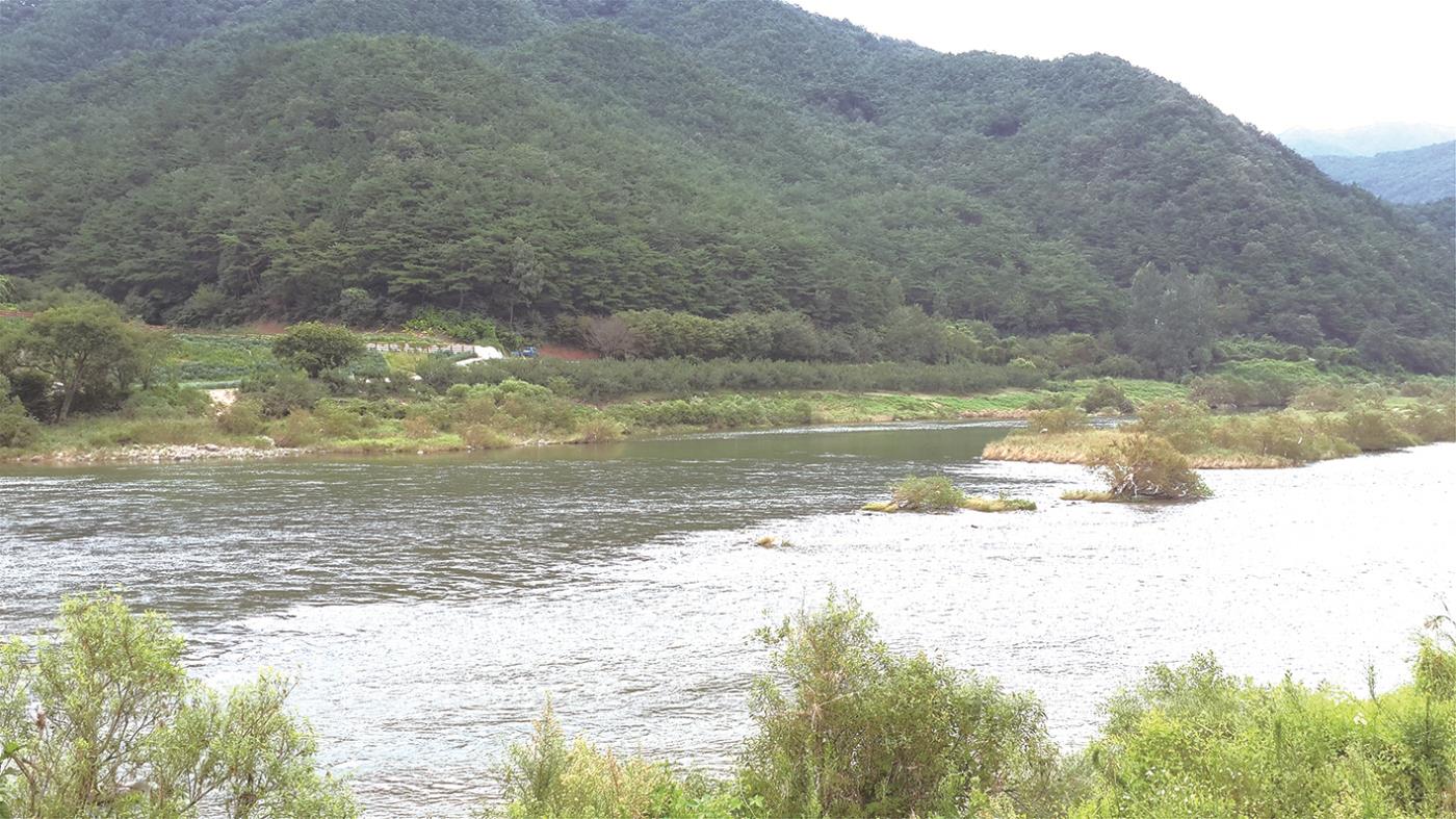 설화-도깨비살.jpg