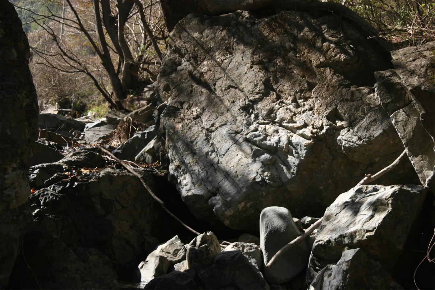 순천-용발태죽.jpg