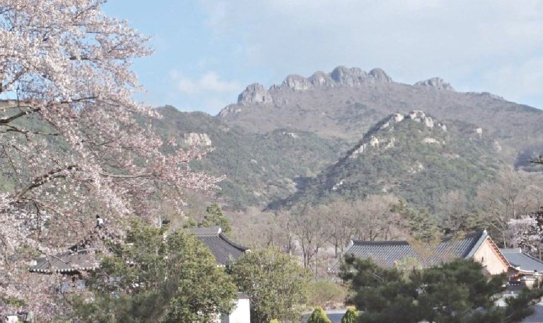 능가사에서 바라 본 팔영산.JPG