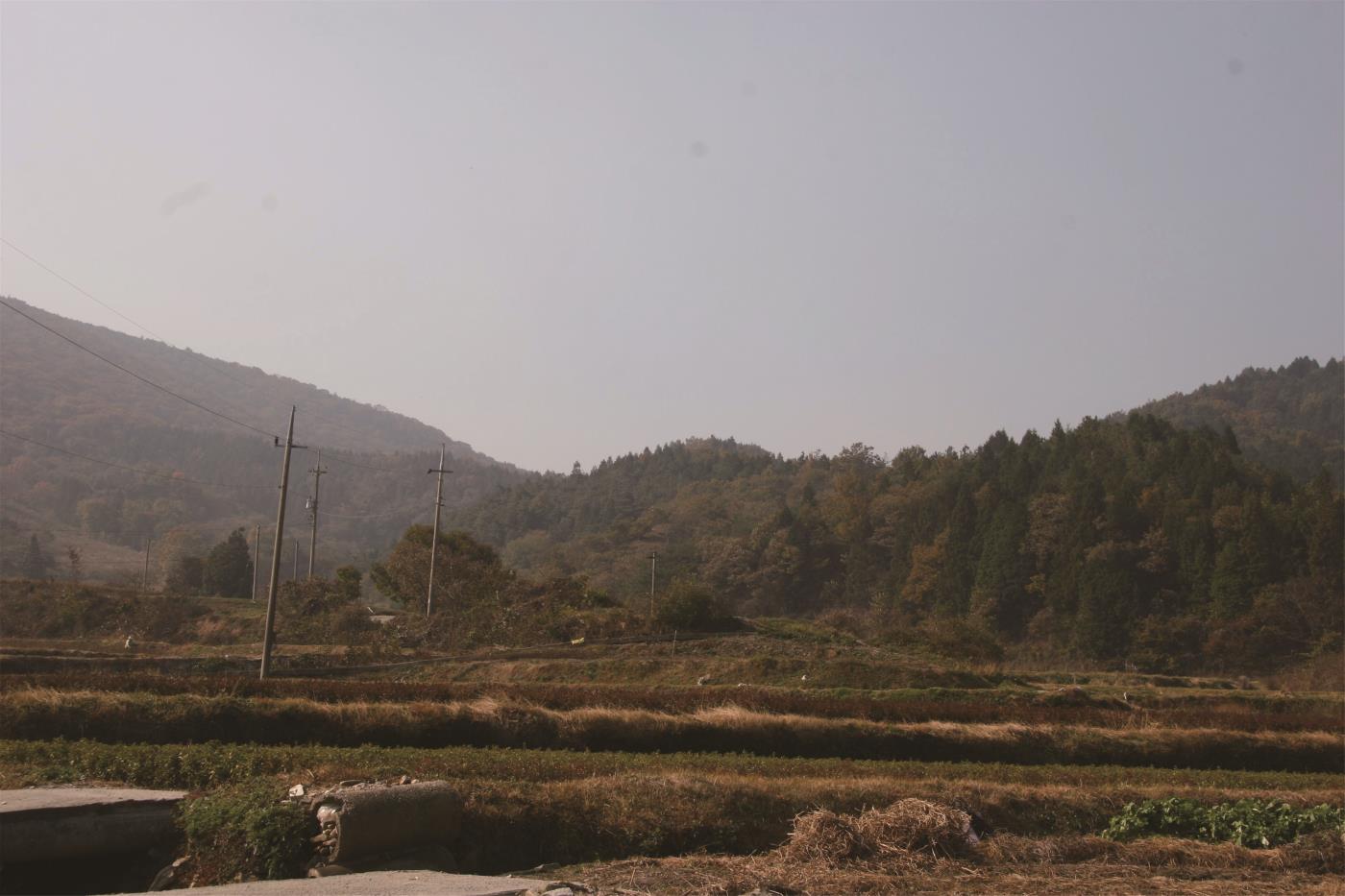 순천-금산마을 골짜기.jpg
