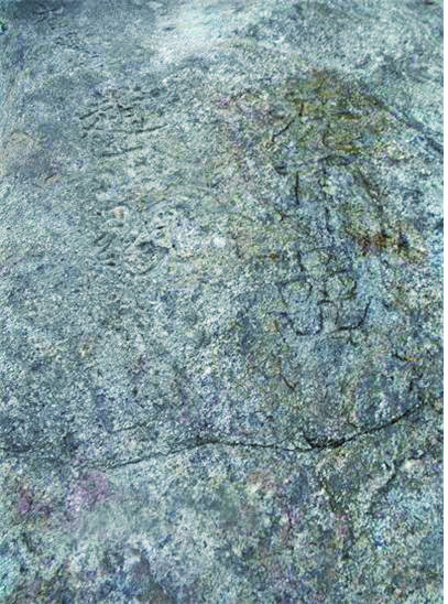 구례-산동-2.jpg