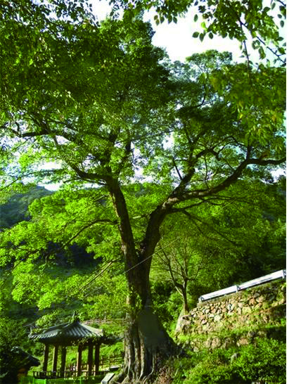 구례-산동-3.jpg