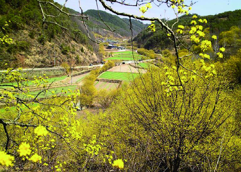 구례-산동-4.jpg
