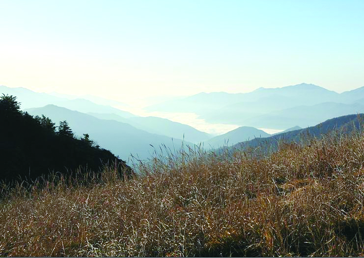 구례-3.jpg