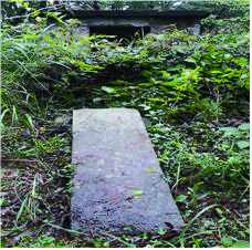 고흥-3.jpg