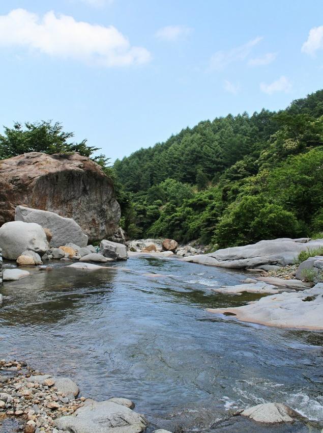 구례-1.jpg