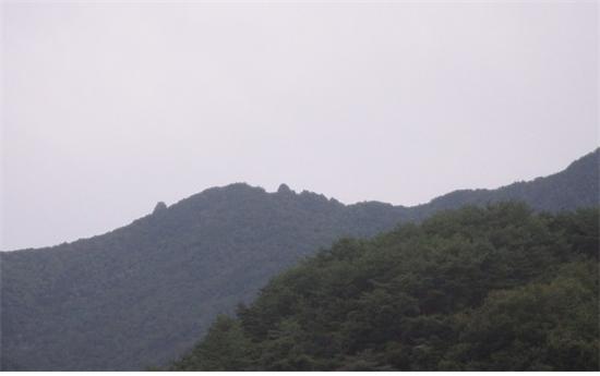 구례-3.jpg